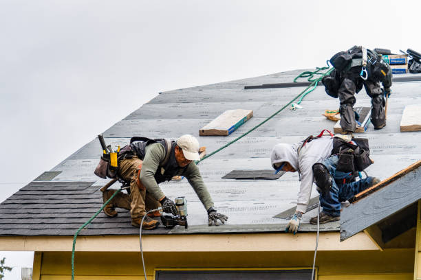 Professional Gutter Installation technician working in Middleport, NY
